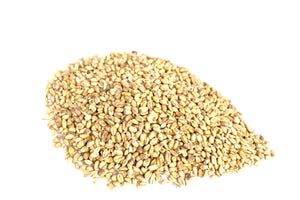 Unmalted Wheat 1lb - Canada