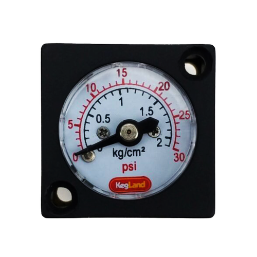 Mini Pressure Gauge (0-30 psi)