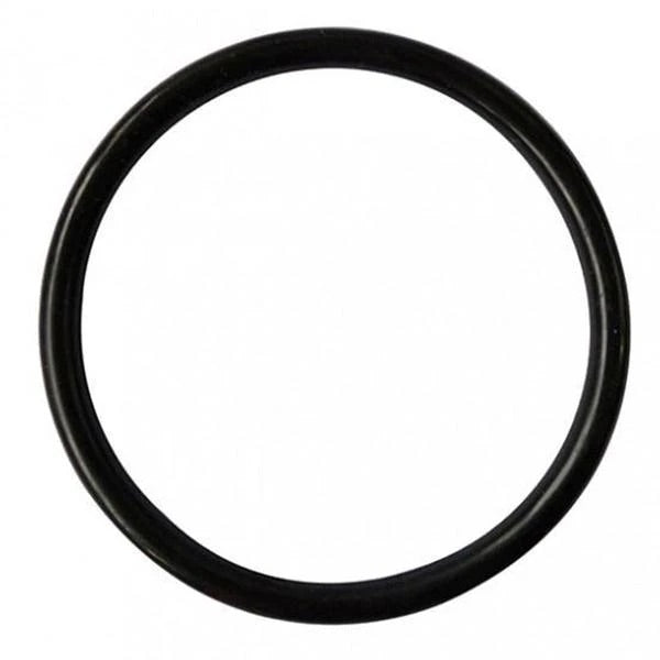 Replacement O-Ring For Cornelius Keg Lid - Each